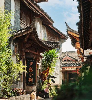 Dayan Old Town House | 夕露小榭古城南门店 Xilu Xiaoxie Inn Old Town Lijiang