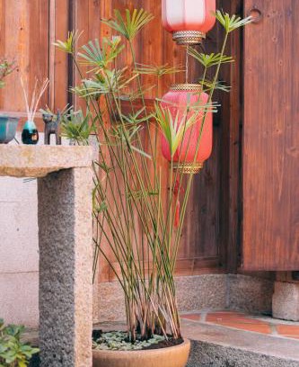 Jinning House | 新龍頭古厝本館 Shin Long Tou B&B