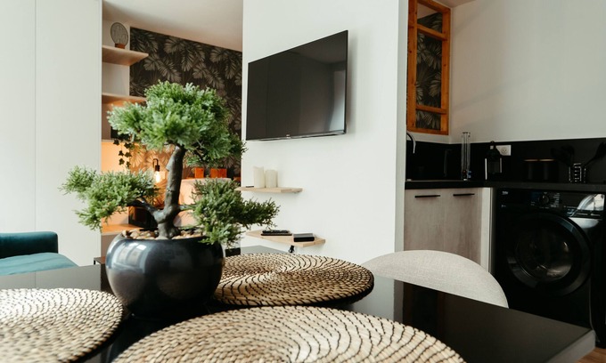 Mulhouse Apartment | 1 bedroom apartment in mulhouse