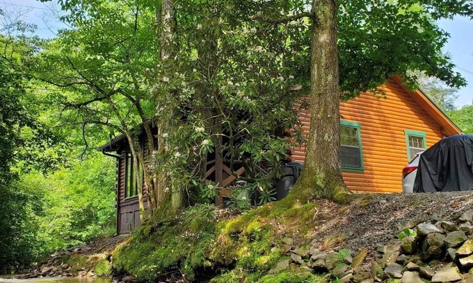 Blue Ridge Cabin | 10% off EARLY BIRD discount Creekside Cabin w/Firepit and Wood Stove Fireplace