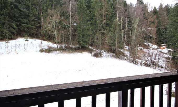 Montchavin Apartment | 150m from ski slopes, 4th floor, balcony, tv, ski locker, 47m², Montchavin La Plagne
