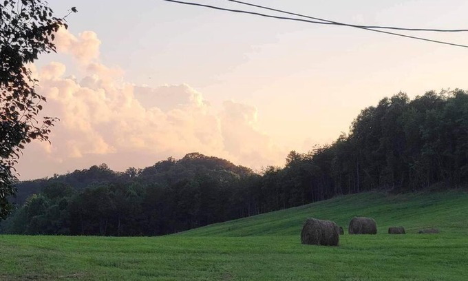 Dandridge House | 1901 Dandy Remodeled Historical Home