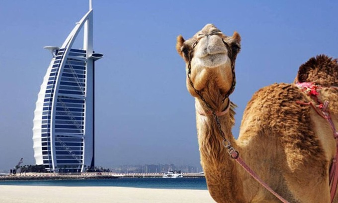Dubai Apartment | 2 Bedroom Apartment at Dubai Marina
