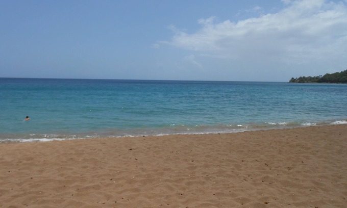 Deshaies House | 2 min from the beach warm welcome in this flowered and wooded park