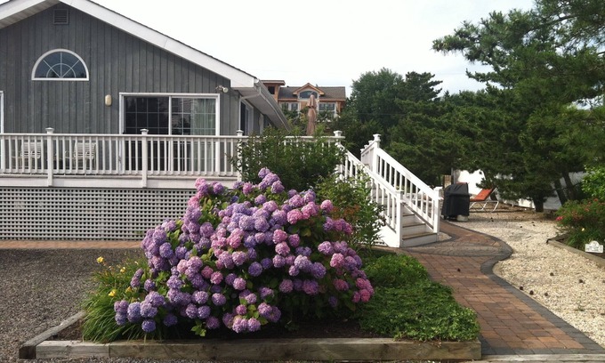 Loveladies House | 200 feet to the ocean on a private lane sits this wonderful 4 bedroom ranch
