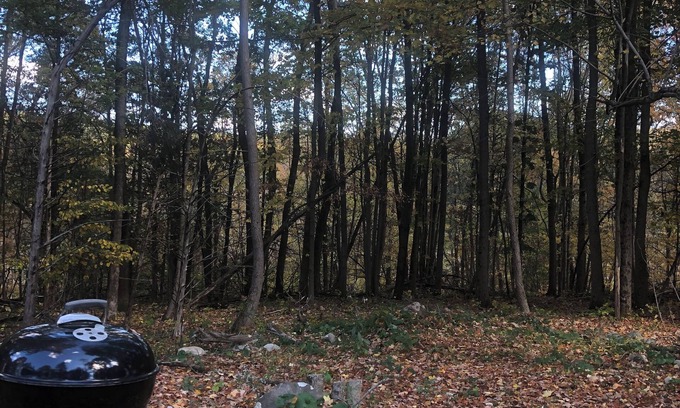 Middle Hope House | 3-bedroom house wooded location one hour fifteen minutes North of G.W.Bridge