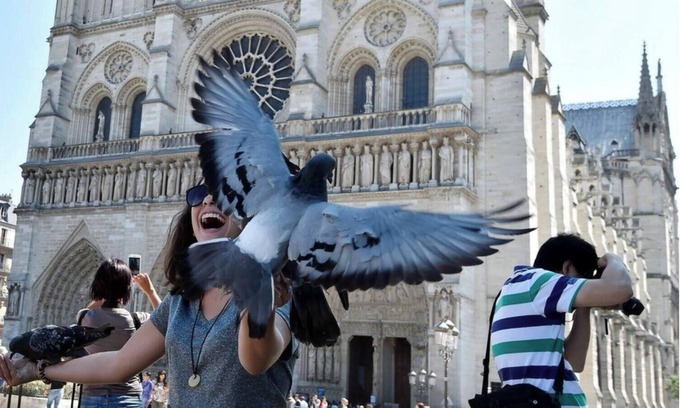 Archives Apartment | 3 bedroom in best part of Paris-Marais