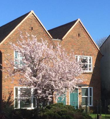 Summertown Apartment | 3 Summertown Court