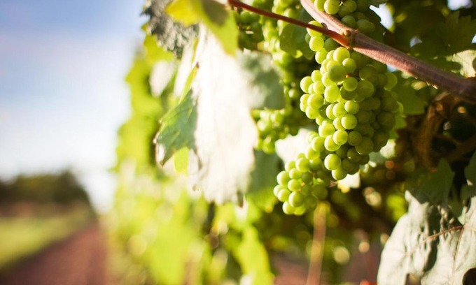 Winningen Apartment | 3-Zimmer Haus 85qm mit Balkon bis zu 8 Personen