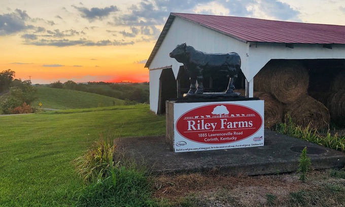 Jonesville House | 331 Acres of Comfort & Rest, ❤ of the Bluegrass- 12 mins from ARK w/Hot Tub