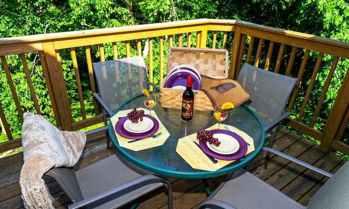 The Galena Territory House | 3bd/3.5ba, Bright & Spacious, Fab Screened Porch, Fireplace