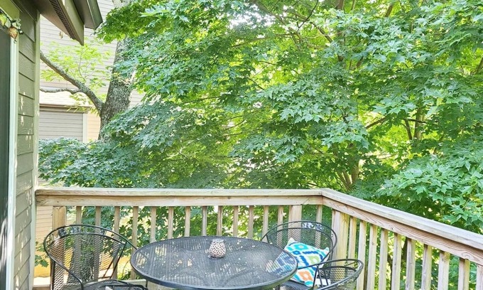 Nellysford Condo | 3min to Ski: DogsOK+FAST WiFi+Roku+Hiking+Foosball