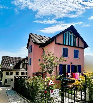 Horgen District Apartment | 4 mins walk Thalwil Station, Free Parking, Historical