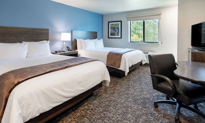 Mitchell Hotel | 4 Spacious Studios for Families and Pet Owners – with Fully Equipped Kitchen!