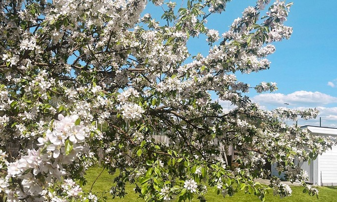 Kyrkbyn House | 4 star holiday home in GÖTEBORG