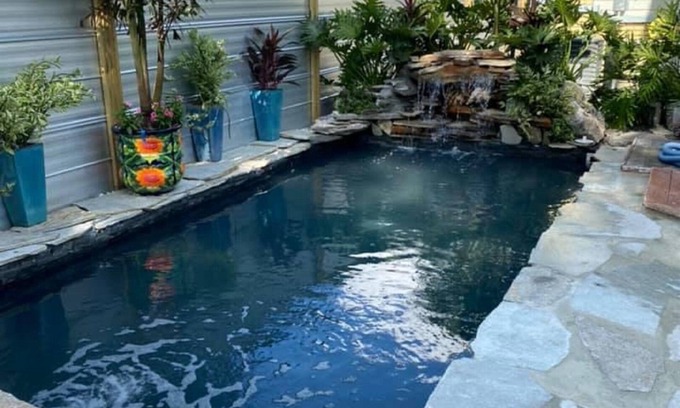 St. Petersburg - Clearwater House | 4Bed Spacious Home w/cocktail pool Minutes 2 dtwn St Pete!