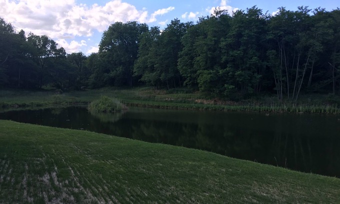 Nebo Cabin | 5 Bedroom Lodge in Illinois