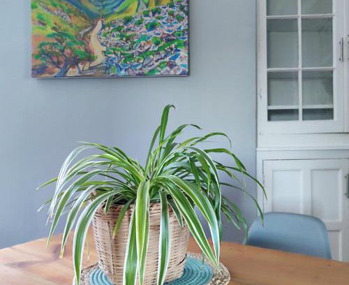 Adelaide Apartment | 7 on Market Square