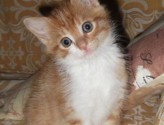 Montefalco House | A Casa Di Mì Appartamenti vacanza