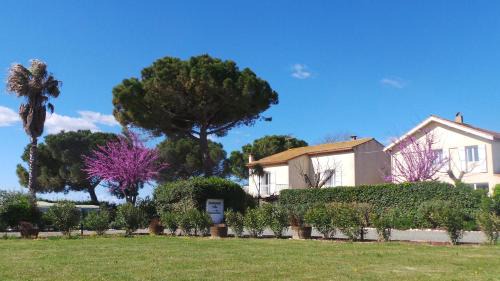 Montady House | A l'Orée Des Vignes