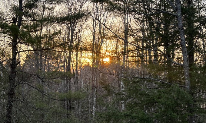 Sandwich House | A quiet, secluded getaway, yet still close to everything!