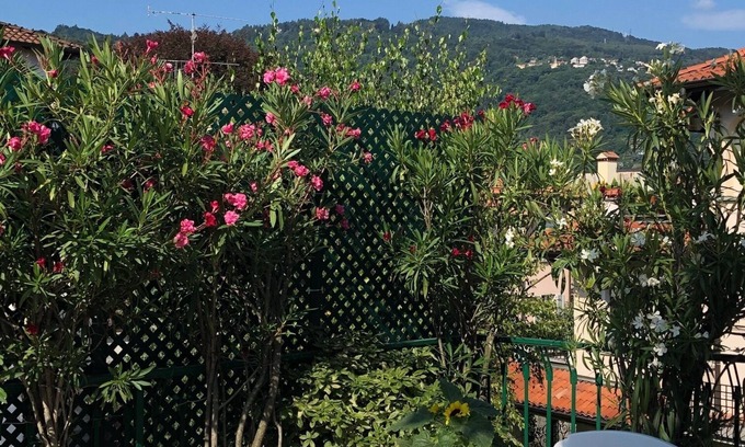 Stresa Apartment | A terrace with mountain view, quiet and spacious apartment.