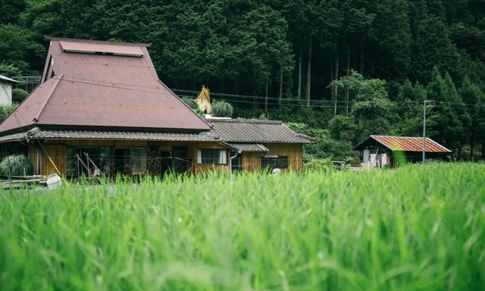 Katsuragi House | A thatchedroof farmhouse nestled in nature at the foot of Mount Koya/Ito-gun Wakayama