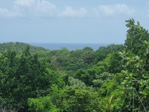 Desbonnes Apartment | Accueil Créole