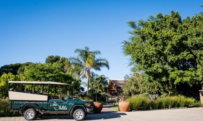 Addo Cabin | Addo Wildlife