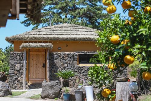 Aewol House | Aewol Jokutti