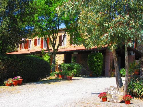 Le Rocchette Apartment | Agriturismo Serignano alle Rocchette