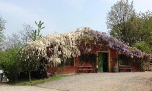 San Nicolo House | Agriturismo Cascina degli Ulivi