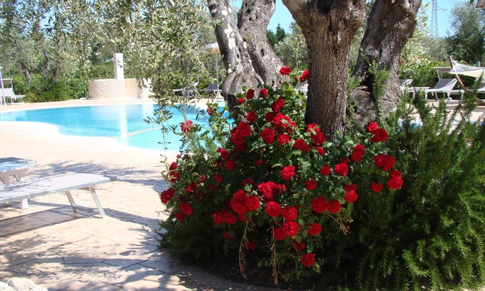 Chiesiola Other | Agriturismo I Tesori Del Sud