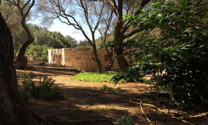Bonifacio House | Air-conditioned stone house in Bonifacio amid century-old olive trees