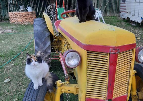 Guaymallen Bed & Breakfast | Akimekedo