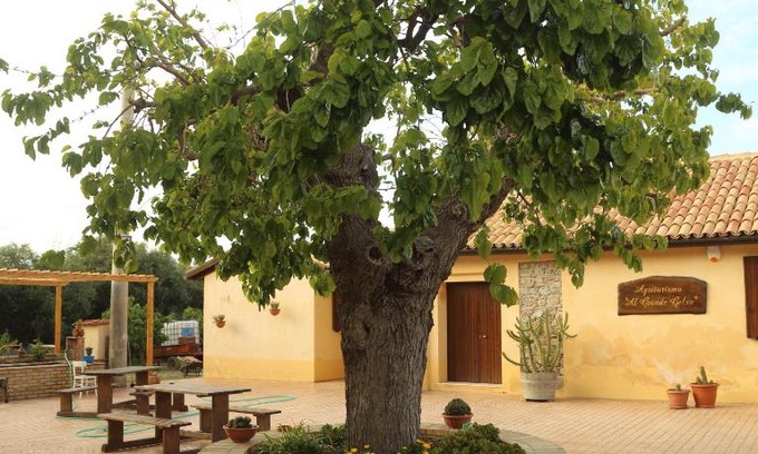 Cariati House | Al Grande Gelso