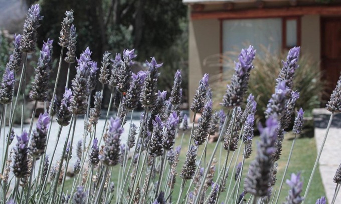 Tilcara Hotel | Al Sereno Hotel y Spa