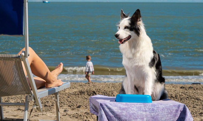 Isola Albarella House | Albarella V3 3, Isola di Albarella, Italy