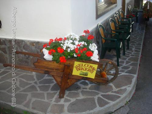 Auronzo di Cadore Hotel | Albergo Larese