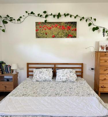 El-Rum Apartment | Albergue1062