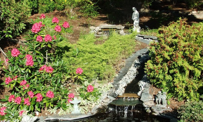 Shannon Lake Bed & Breakfast | Alexandria House Bed & Breakfast