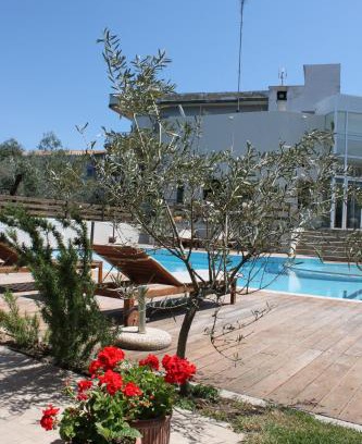 Diakofto Apartment | Alkistis Hotel