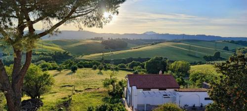 Montopoli di Sabina Apartment | All'ombra del pino ALLOGGIO TURISTICO