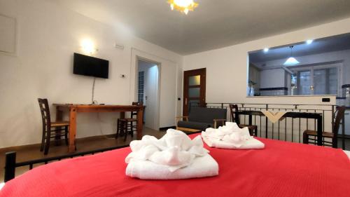 Assisi Apartment | ALL'OMBRA DI SANTA CHIARA, 4 minuti da San Carlo Acutis, NUOVO, con la "solita" QUALITÀ di MyAssisiSuite, 140 mq, Piano Terra 2 Ingressi 3 Camere 2 Bagni, Idromassaggio, Perfetto - La nostra Forza è la DISPONIBILITÀ Live 24-7, MÓWIMY PO POLSKU