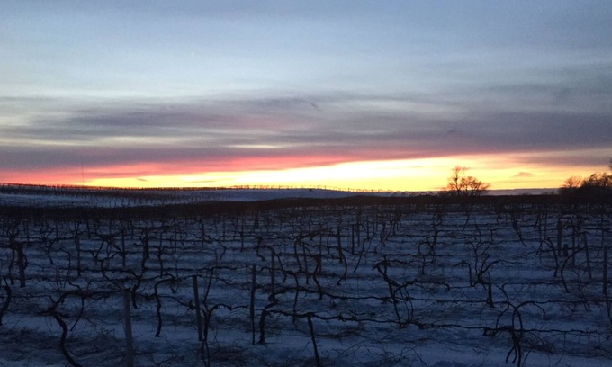 Lawton Cottage | All Sports Lake Private Home Wine Country Pure Michigan Close to Wineries Casino