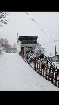 Mongnod Apartment | Alloggio al Centro di Torgnon