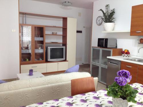 Viserba Apartment | Aloe beach apartments, ombrellone, parcheggio e uso di biciclette gratis