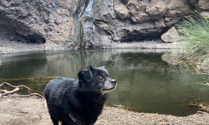 Agaete Bed & Breakfast | Alojamientos Charco Azul