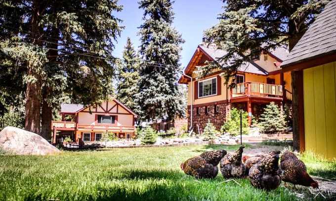 Evergreen Cabin | Alpen Way Chalet Mountain Lodge