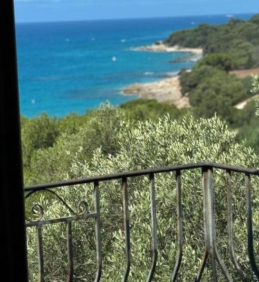 Olmeto House | Altagna